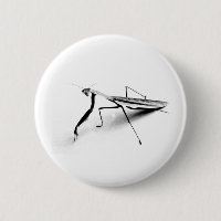 Betender Mantis-Sammlung