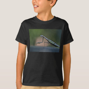 Betender Mantis scherzt T-Shirt
