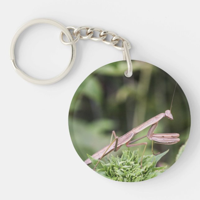 Betender Mantis Schlüsselanhänger (Vorderseite)