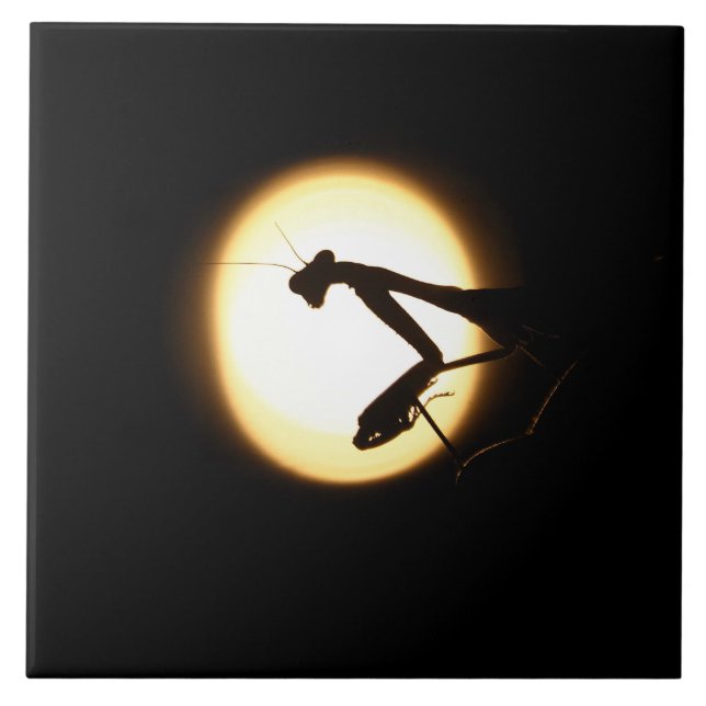 Betender Mantis-Silhouette Fliese (Vorderseite)