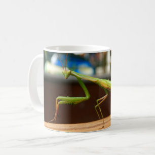 Betender Mantis-Wanzen-Tasse Kaffeetasse
