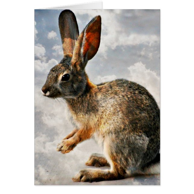 Betendes Häschen in den Himmeln (Vorne)