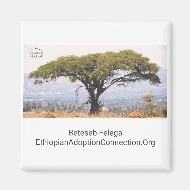 Beteseb Felega Kitchen Magnet (Vorne)