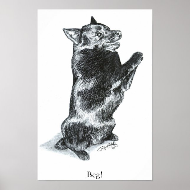 Betet! Poster (Vorne)