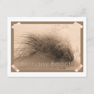 Bethany Gras Postkarte