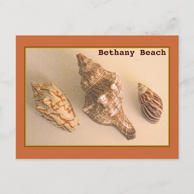 Bethany Muscheln Postkarte (Vorderseite)