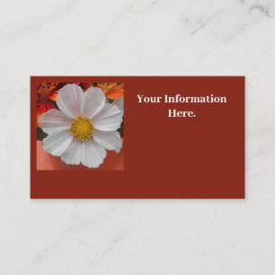 Bethune Visitenkarte