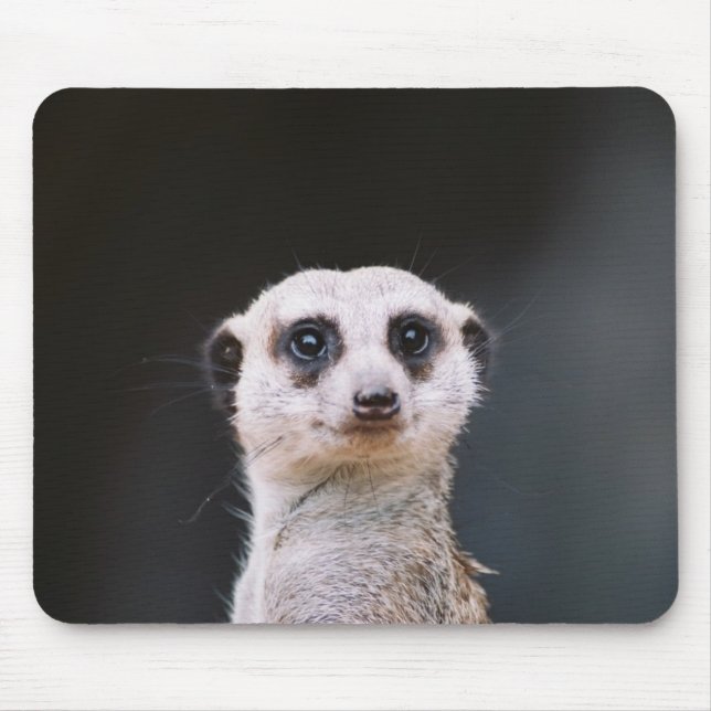 Betrachten Sie mich?  Meerkat Mousepad (Vorne)