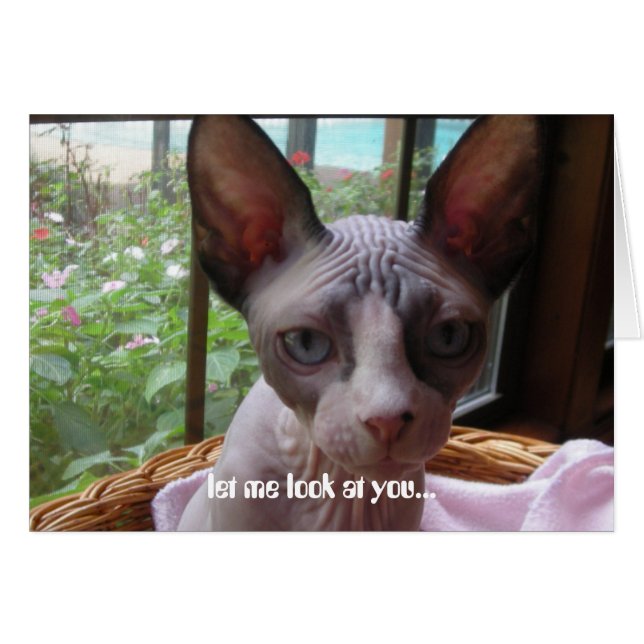 Betrachten Sie Sie (Vorderseite (Horizontal))