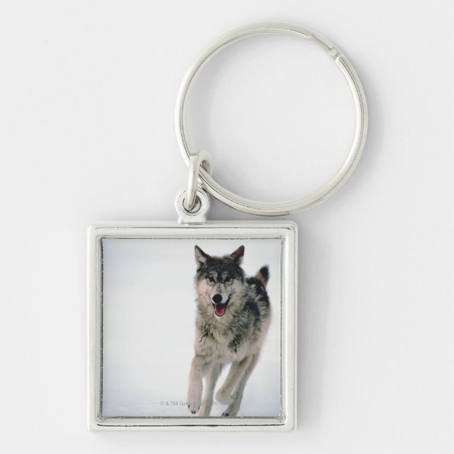 Betrieb des grauen Wolfs Schlüsselanhänger (Vorne)
