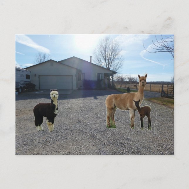 Betrieb Postkarte (Vorderseite)