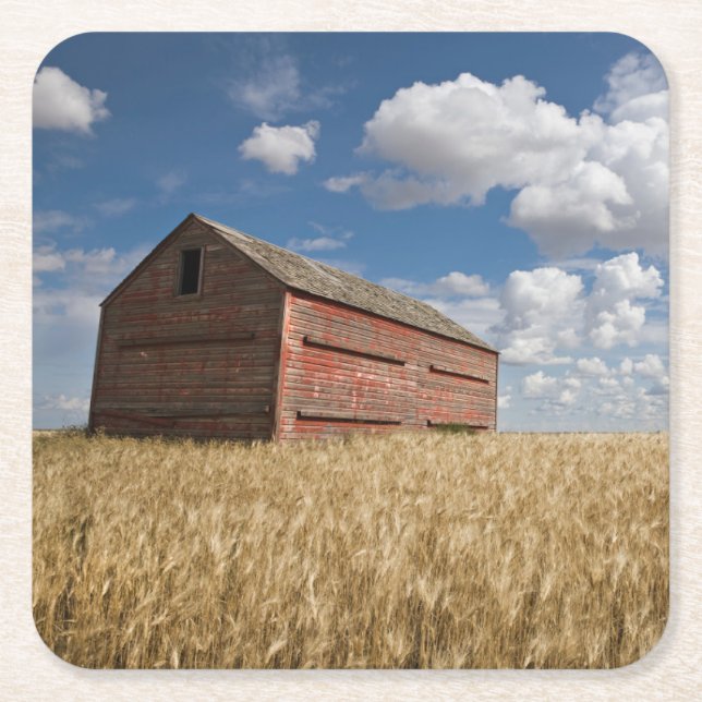 Betriebe | Alte rote Scheune im Weizenfeld Rechteckiger Pappuntersetzer (Vorderseite)