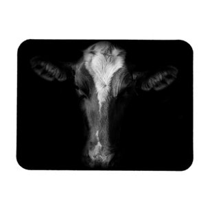 Betriebe B&W Kuhkuh Kopf Shot Magnet