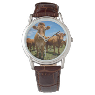 Betriebe Brown Cow Group Armbanduhr