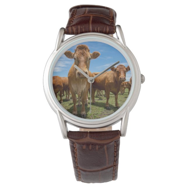 Betriebe | Brown Cow Group Armbanduhr (Vorderseite)