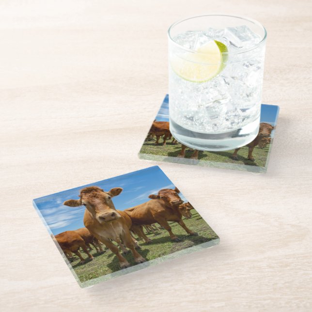 Betriebe | Brown Cow Group Glasuntersetzer (Schrägansicht)