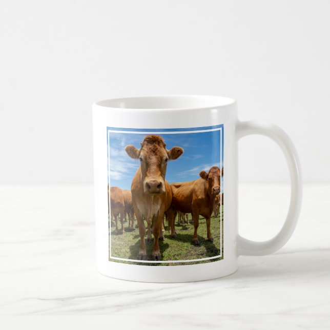 Betriebe | Brown Cow Group Kaffeetasse (Rechts)