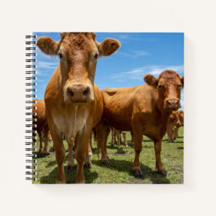 Betriebe Brown Cow Group Notizbuch
