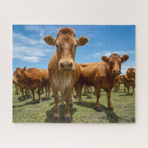 Betriebe   Brown Cow Group Puzzle
