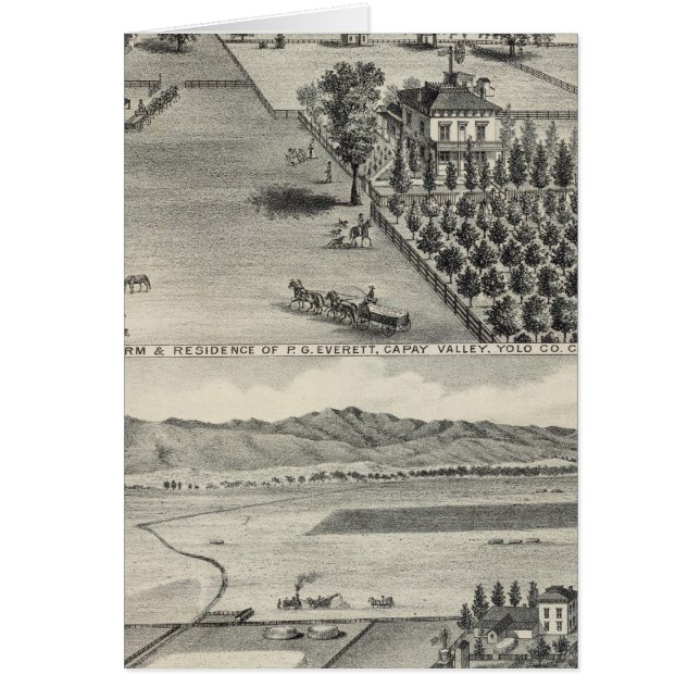 Betriebe, Capay Valley, Madison (Vorne)