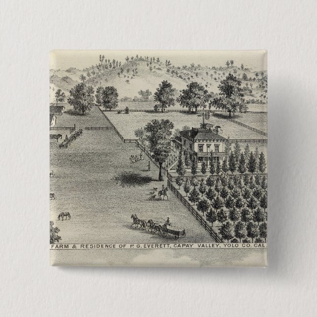 Betriebe, Capay Valley, Madison Button (Vorderseite)