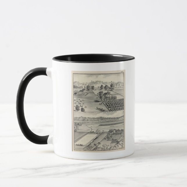 Betriebe, Capay Valley, Madison Tasse (Links)