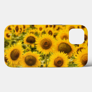 Betriebe   Ein Sonnenblumenfeld Case-Mate iPhone Hülle