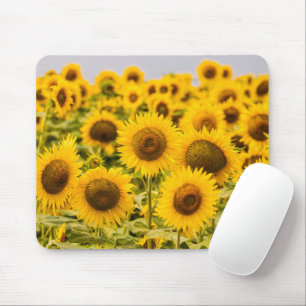 Betriebe   Ein Sonnenblumenfeld Mousepad