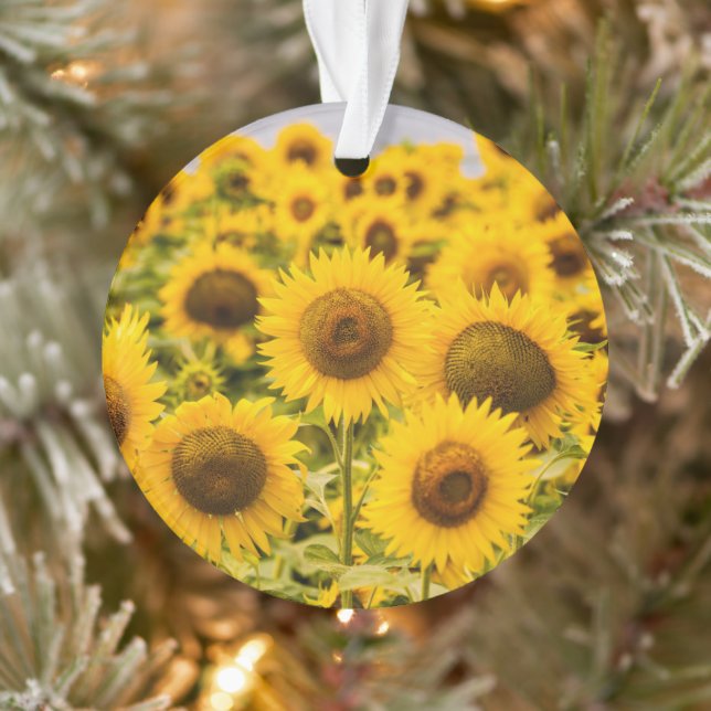 Betriebe | Ein Sonnenblumenfeld Ornament (Baum)