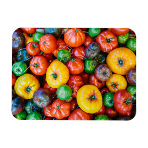 Betriebe   Farbige Tomatenernte Magnet