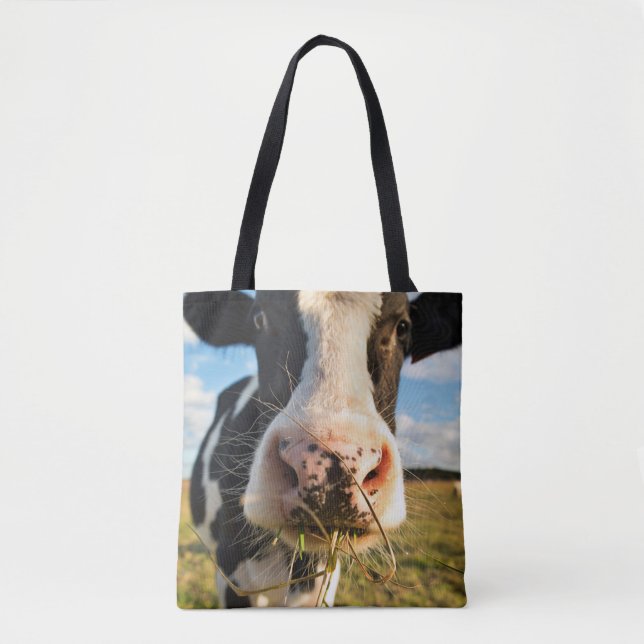 Betriebe | Holstein Kuh Kauen (Vorderseite)