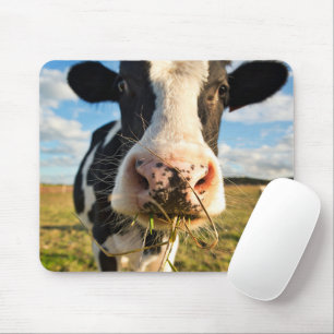 Betriebe   Holstein Kuh Kauen Mousepad