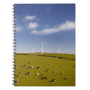 Betriebe Kühe in der Nähe der Windmühle Notizblock