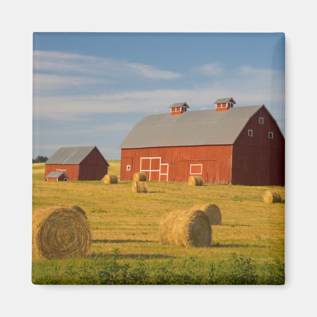 Betriebe | Red Barns Near Hay Bales Magnet (Vorne)