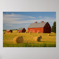 Betriebe | Red Barns Near Hay Bales