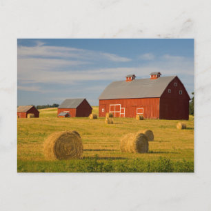 Betriebe   Red Barns Near Hay Bales Postkarte