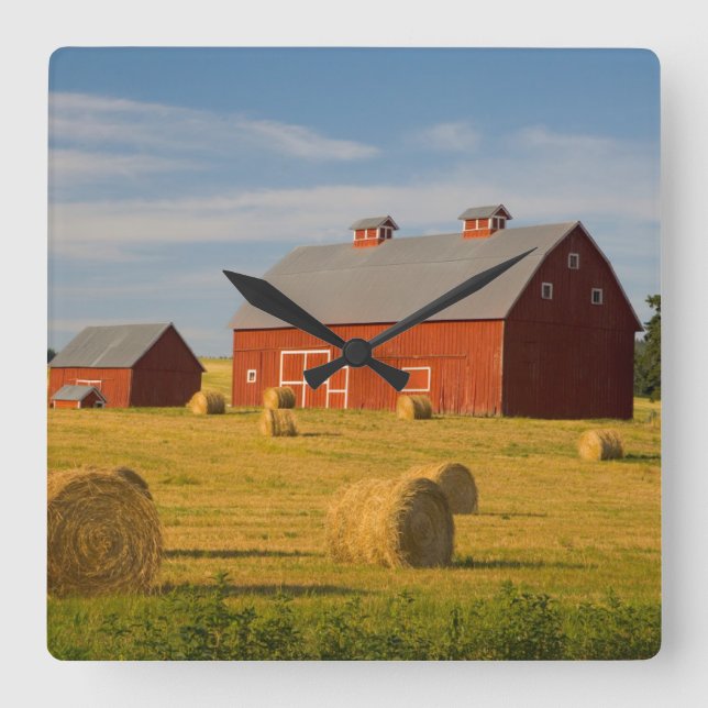Betriebe | Red Barns Near Hay Bales Quadratische Wanduhr (Vorderseite)