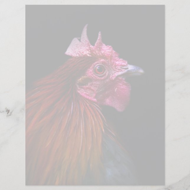 Betriebe | Rooster Head Shoot (Vorderseite)