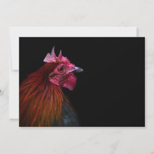 Betriebe Rooster Head Shoot Dankeskarte