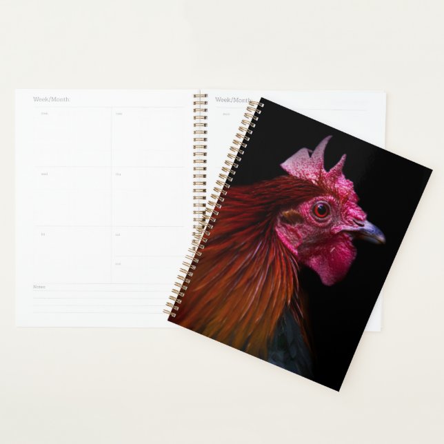 Betriebe | Rooster Head Shoot Planer (Anzeige)