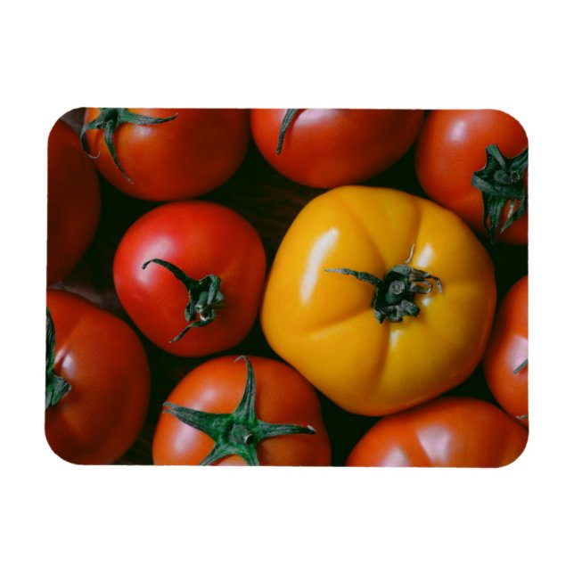Betriebe | Rote und gelbe Tomaten/Paradeiser Magnet (Horizontal)