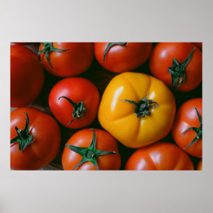 Betriebe Rote und gelbe Tomaten/Paradeiser Poster
