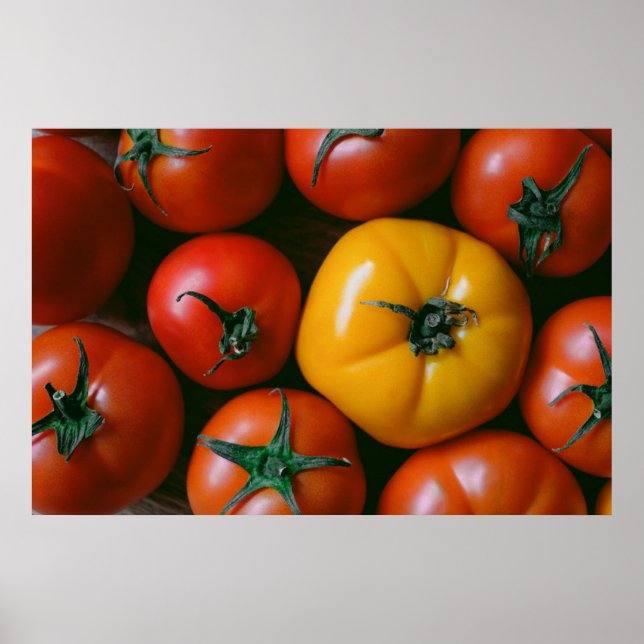 Betriebe | Rote und gelbe Tomaten/Paradeiser Poster (Vorne)