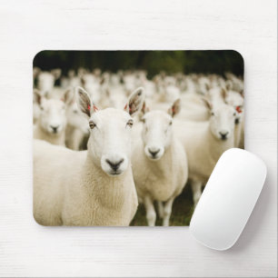 Betriebe Schafherde Mousepad