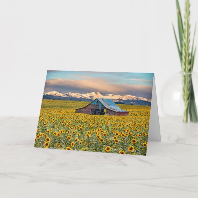 Betriebe | Sonnenblumenfeld Karte (Vorderseite)