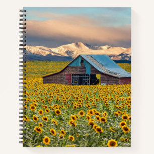 Betriebe Sonnenblumenfeld Notizbuch