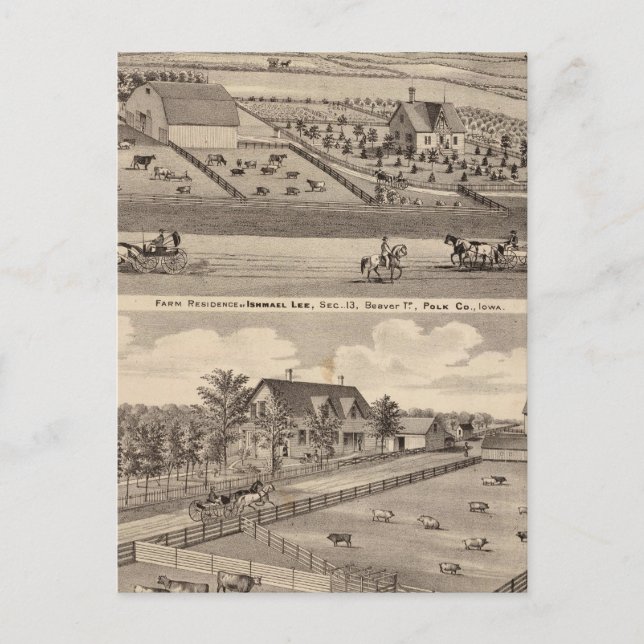 Betriebssitz I Lee & Wohnsitz von T Mitchell Postkarte (Vorderseite)