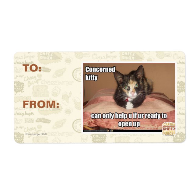 Betroffene Kitty (Vorne)