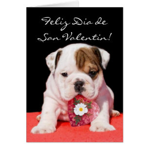 Betrug Tarjeta de San Valentin cachorro Bulldogge