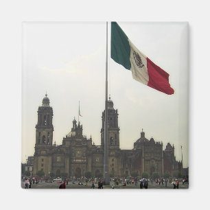 Betrugla Bandera Catedral en-EL Zocalo Del DF Magnet